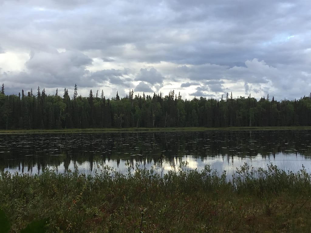 Remote lakefront property alaska

