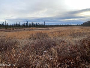 10 Acres vacant land in Talkeetna